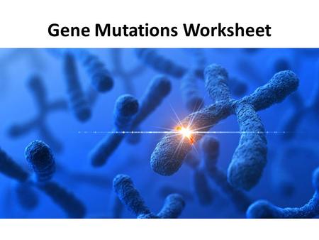 Gene Mutations Worksheet