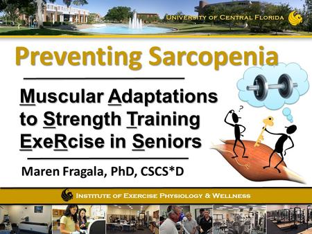 Institute of Exercise Physiology & Wellness University of Central Florida Muscular Adaptations to Strength Training ExeRcise in Seniors Maren Fragala,