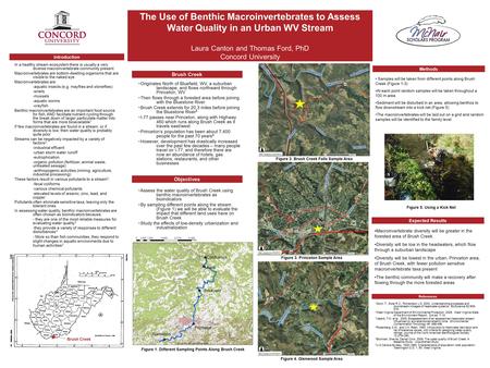 The Use of Benthic Macroinvertebrates to Assess Water Quality in an Urban WV Stream Laura Canton and Thomas Ford, PhD Concord University Brush Creek ~Originates.