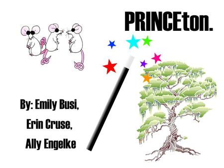 PRINCEton. By: Emily Busi, Erin Cruse, Ally Engelke.