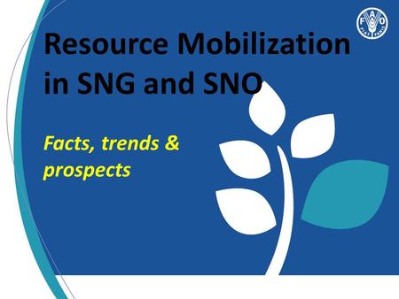 Resource Mobilization in SNG and SNO Facts, trends & prospects.