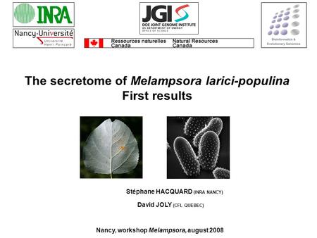 Stéphane HACQUARD (INRA NANCY) The secretome of Melampsora larici-populina First results Nancy, workshop Melampsora, august 2008 David JOLY (CFL QUEBEC)
