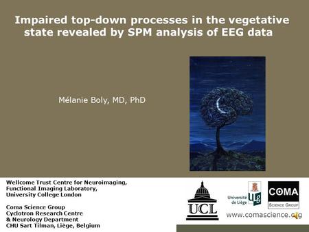 Www.comascience.org Impaired top-down processes in the vegetative state revealed by SPM analysis of EEG data Mélanie Boly, MD, PhD Wellcome Trust Centre.