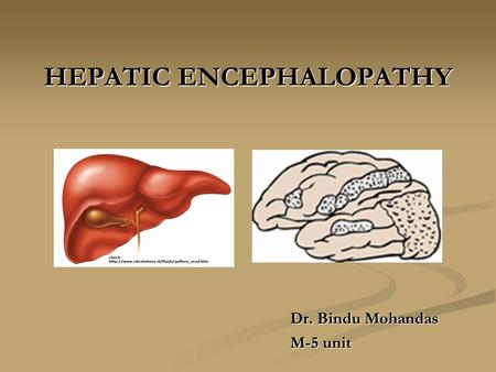 HEPATIC ENCEPHALOPATHY Dr. Bindu Mohandas M-5 unit.