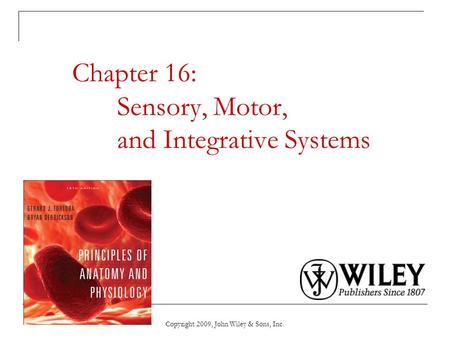 Chapter 16: Sensory, Motor, and Integrative Systems