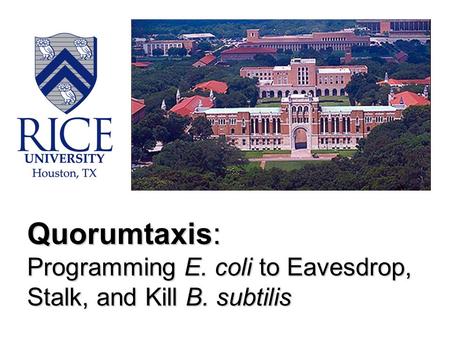 Quorumtaxis: Programming E. coli to Eavesdrop, Stalk, and Kill B. subtilis.