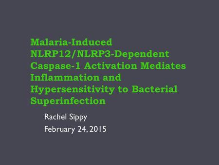 Malaria-Induced NLRP12/NLRP3-Dependent Caspase-1 Activation Mediates Inflammation and Hypersensitivity to Bacterial Superinfection Rachel Sippy February.