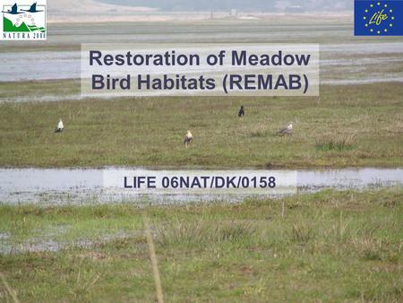 Restoration of Meadow Bird Habitats (REMAB) LIFE 06NAT/DK/0158.