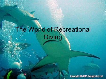 The World of Recreational Diving. SCUBA is an acronym for the S______ C______ U________ B________ A________ invented by Cousteau. Diver certification.