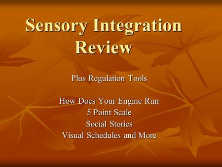 Sensory Integration Review Plus Regulation Tools How Does Your Engine Run 5 Point Scale Social Stories Visual Schedules and More.