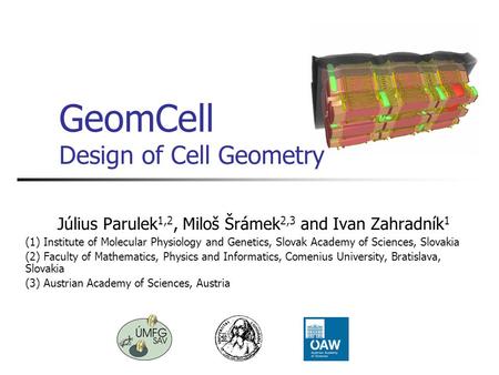 GeomCell Design of Cell Geometry Július Parulek 1,2, Miloš Šrámek 2,3 and Ivan Zahradník 1 (1) Institute of Molecular Physiology and Genetics, Slovak Academy.