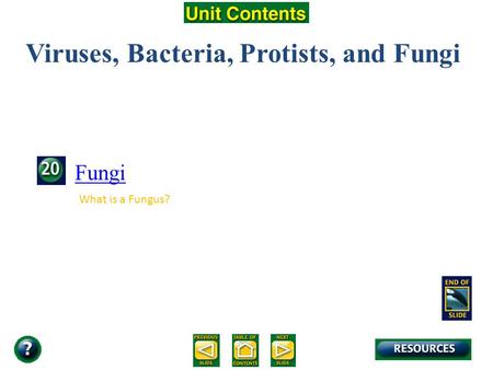 Unit Overview – pages 472-473 Viruses, Bacteria, Protists, and Fungi Fungi What is a Fungus?