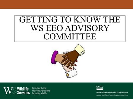 GETTING TO KNOW THE WS EEO ADVISORY COMMITTEE. WS EEO ADVISORY COMMITTEE Has 12 members Meets quarterly; once face-to-face, and three conference calls.