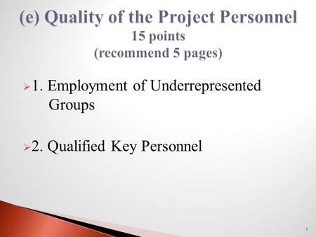  1. Employment of Underrepresented Groups  2. Qualified Key Personnel 1.