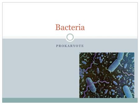 PROKARYOTE Bacteria. Two Types Eubacteria  Live in many places  Cell wall protects and gives shape  Peptidoglycan Archaebateria  No peptidoglycan.