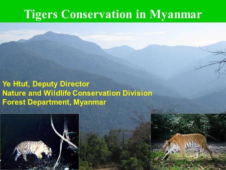 1 Tigers Conservation in Myanmar Ye Htut, Deputy Director Nature and Wildlife Conservation Division Forest Department, Myanmar.