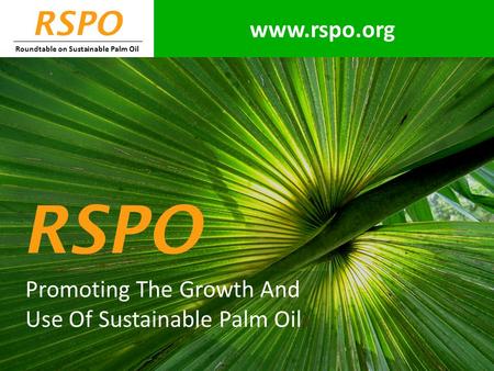 RSPO Roundtable on Sustainable Palm Oil Promoting The Growth And Use Of Sustainable Palm Oil RSPO www.rspo.org.