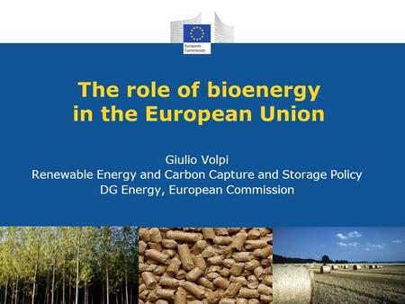 The role of bioenergy in the European Union Giulio Volpi Renewable Energy and Carbon Capture and Storage Policy DG Energy, European Commission.