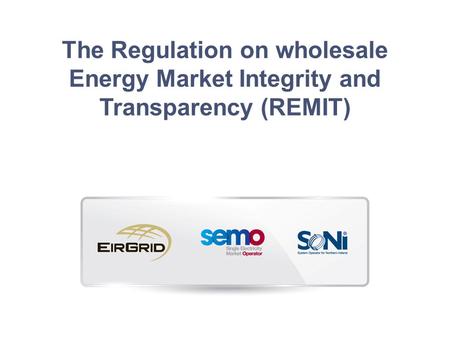 The Regulation on wholesale Energy Market Integrity and Transparency (REMIT)
