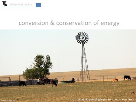 Conversion & conservation of energy living with the lab © David Hall 2013 windmill pumping water for cows – west Texas.