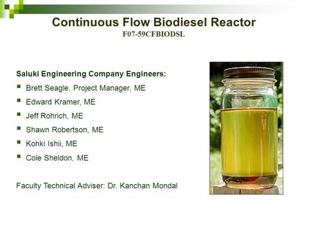 Continuous Flow Biodiesel Reactor