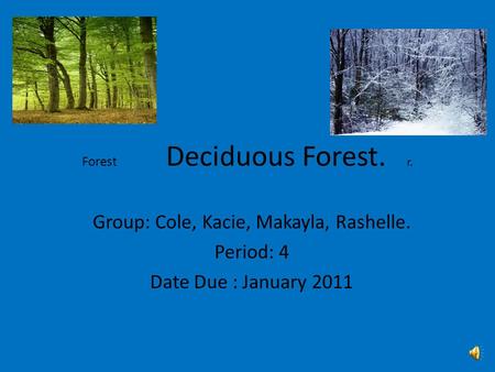 Forest Deciduous Forest. r. Group: Cole, Kacie, Makayla, Rashelle. Period: 4 Date Due : January 2011.