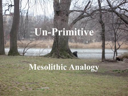 Un-Primitive Mesolithic Analogy. Aims and objectives Discussion of Star Carr Discussion of Analogy My own application of analogy New directions.