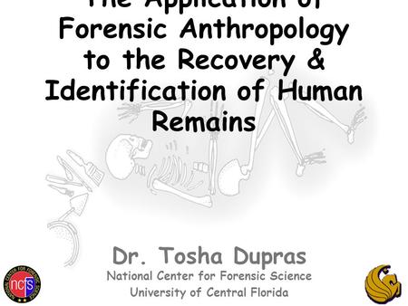 The Application of Forensic Anthropology to the Recovery & Identification of Human Remains Dr. Tosha Dupras National Center for Forensic Science University.