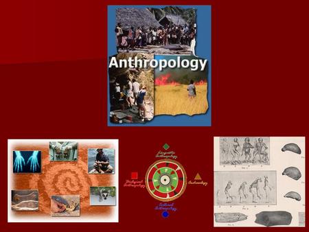 What is Anthropology? Anthropology is the broad study of humankind around the world and throughout time. It is concerned with both the biological and.