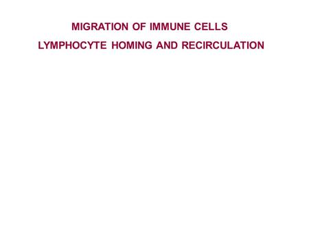 MIGRATION OF IMMUNE CELLS LYMPHOCYTE HOMING AND RECIRCULATION.