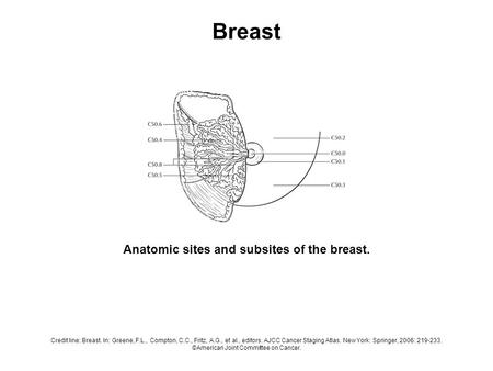 Credit line: Breast. In: Greene, F.L., Compton, C.C., Fritz, A.G., et al., editors. AJCC Cancer Staging Atlas. New York: Springer, 2006: 219-233. ©American.