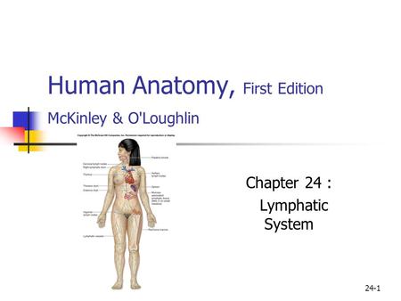 24-1 Human Anatomy, First Edition McKinley & O'Loughlin Chapter 24 : Lymphatic System.