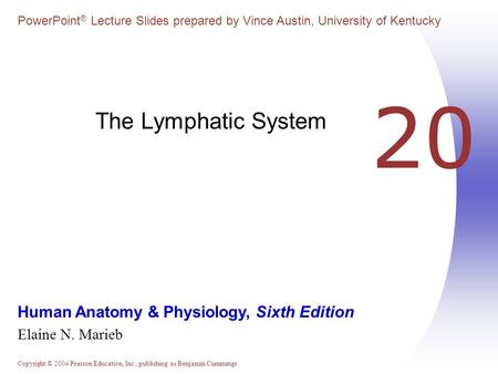 The Lymphatic System 20.