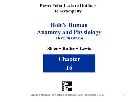 1 PowerPoint Lecture Outlines to accompany Hole’s Human Anatomy and Physiology Eleventh Edition Shier  Butler  Lewis Chapter 16 Copyright © The McGraw-Hill.