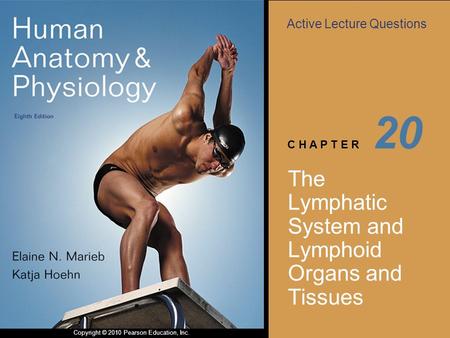The Lymphatic System and Lymphoid Organs and Tissues