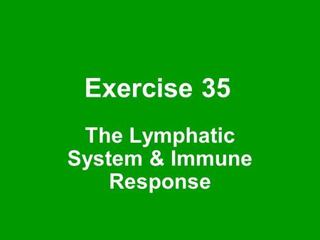The Lymphatic System & Immune Response