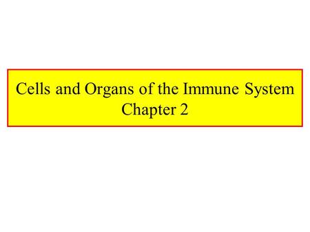 Cells and Organs of the Immune System Chapter 2. Hematopoiesis HSC (Hematopoietic Stem Cell) –Reside in Bone Marrow –Pluripotent –1 HSC Per 50,000 BM.