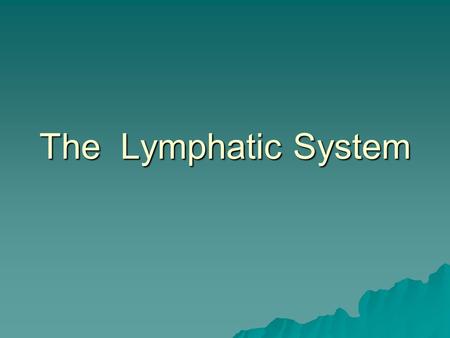 The Lymphatic System.