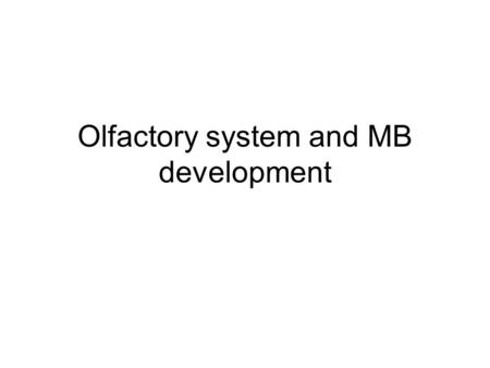 Olfactory system and MB development. The Nobel Prize in Physiology or Medicine 2004 for their discoveries of odorant receptors and the organization of.