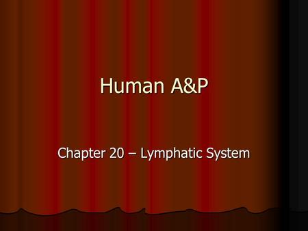 Human A&P Chapter 20 – Lymphatic System. The Lymphatic System What is the lymphatic system? What is the lymphatic system? It’s composed of: It’s composed.