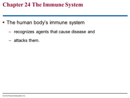 Chapter 24 The Immune System