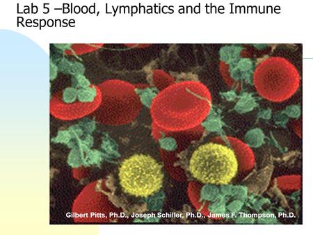 Lab 5 –Blood, Lymphatics and the Immune Response Gilbert Pitts, Ph.D., Joseph Schiller, Ph.D., James F. Thompson, Ph.D.