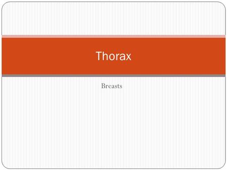 Thorax Breasts.