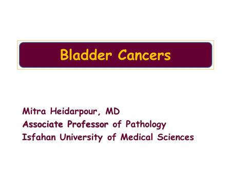 Bladder Cancers Mitra Heidarpour, MD Associate Professor of Pathology