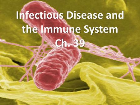 Infectious Disease and the Immune System Ch. 39. What are Infectious Diseases? Pathogen- bacteria, virus, fungi, protozoa, etc… Pathogen- bacteria, virus,
