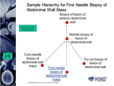 Copyright © 2001 College of American Pathologists Sample Hierarchy for Fine Needle Biopsy of Abdominal Wall Mass Tru cut biopsy of lesion of abdominal.