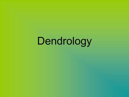 Dendrology. The study of dendrology includes tree: Identification Characteristics Taxonomy Ecology.