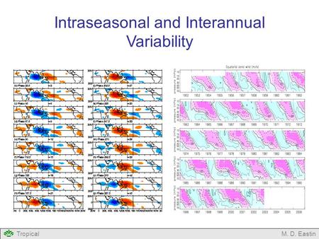 Intraseasonal and Interannual Variability