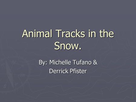 Animal Tracks in the Snow. By: Michelle Tufano & Derrick Pfister.