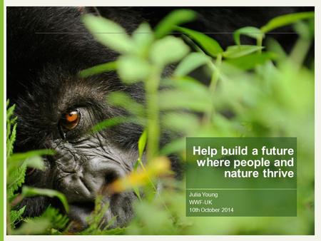 Julia Young WWF-UK 10th October 2014 Help build a future where people and nature thrive.